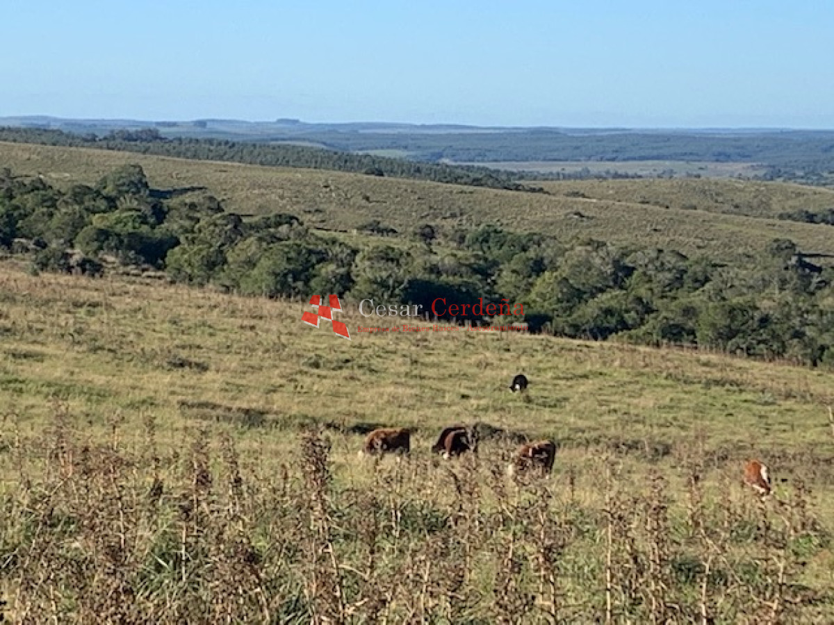 VENTA - Chacra 19 hectáreas en Sierra de Las Cañas - CCB1582H