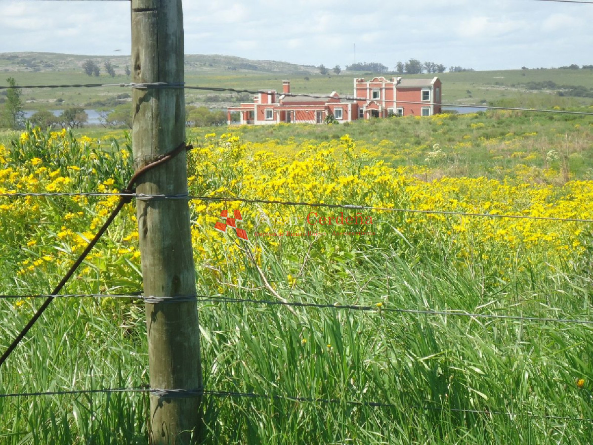 Chacra ID.1217 - VENTA - EXCEPCIONAL CHACRA EN VENTA EN LAGUNA DEL SAUCE