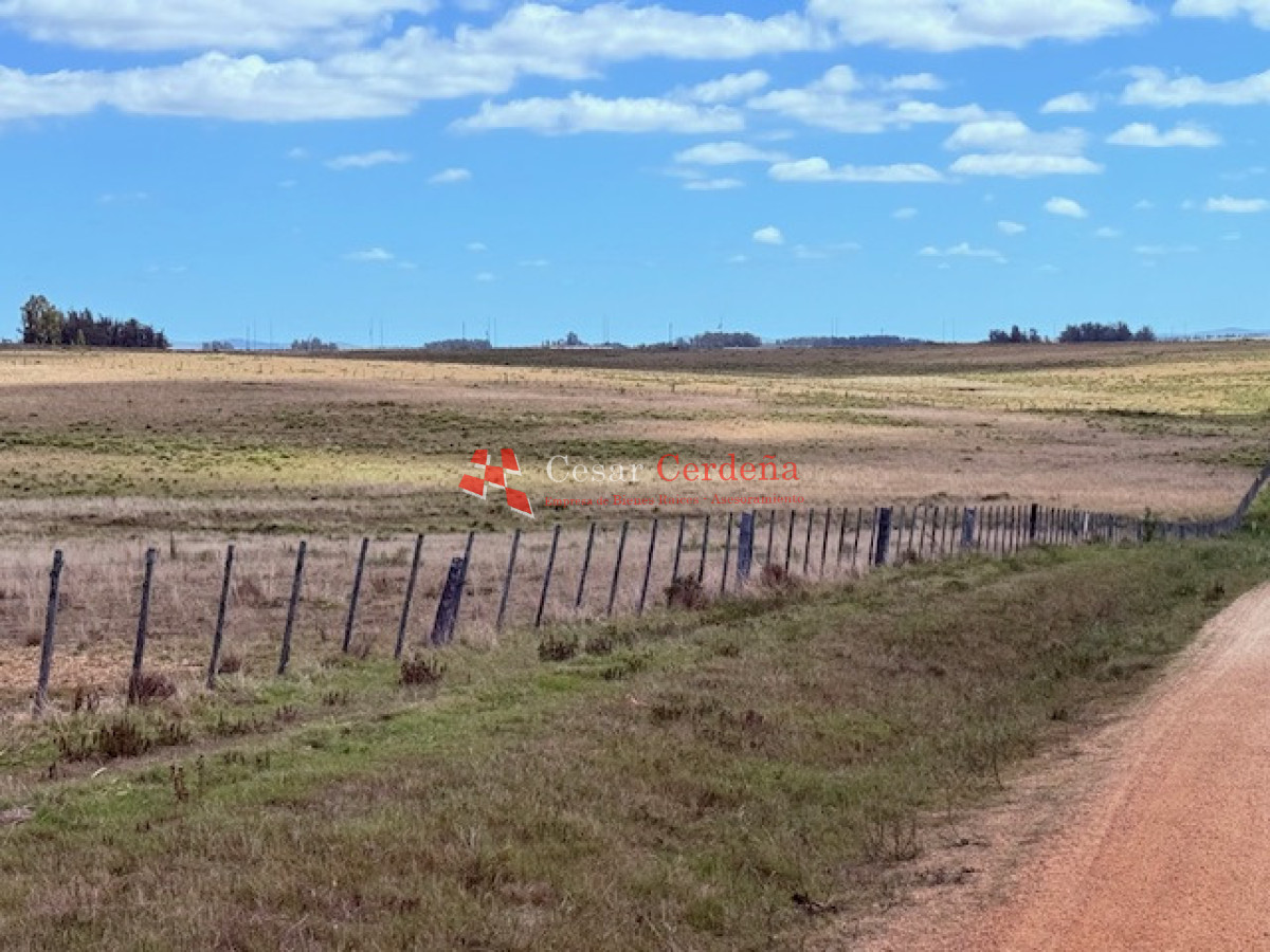 VENTA - Chacra 21 hectáreas Jose Ignacio - CCB1972H