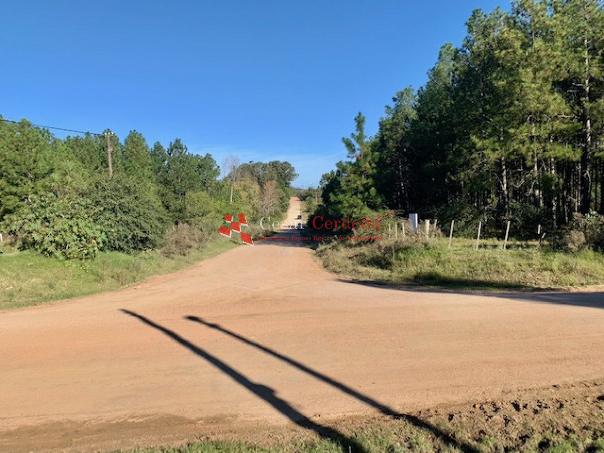 CHACRA EN VENTA - IDEAL LOGISTICA , INDUSTRIA O COMPLEJO DEPORTIVO - CCB1234H