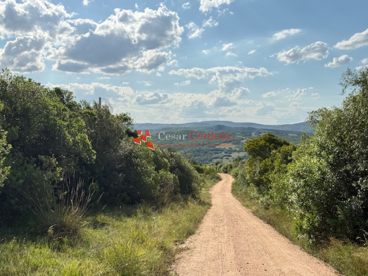 VENTA - 39 Hectareas en Sierra de las Cañas - CCB1584H