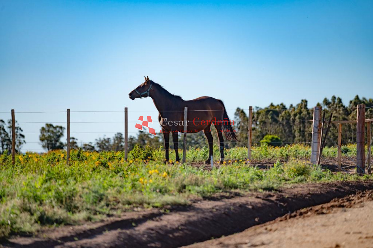 VENTA - Chacras en Jose Ignacio rural, complejo Los Zainos, ruta 9 - CCB1839H