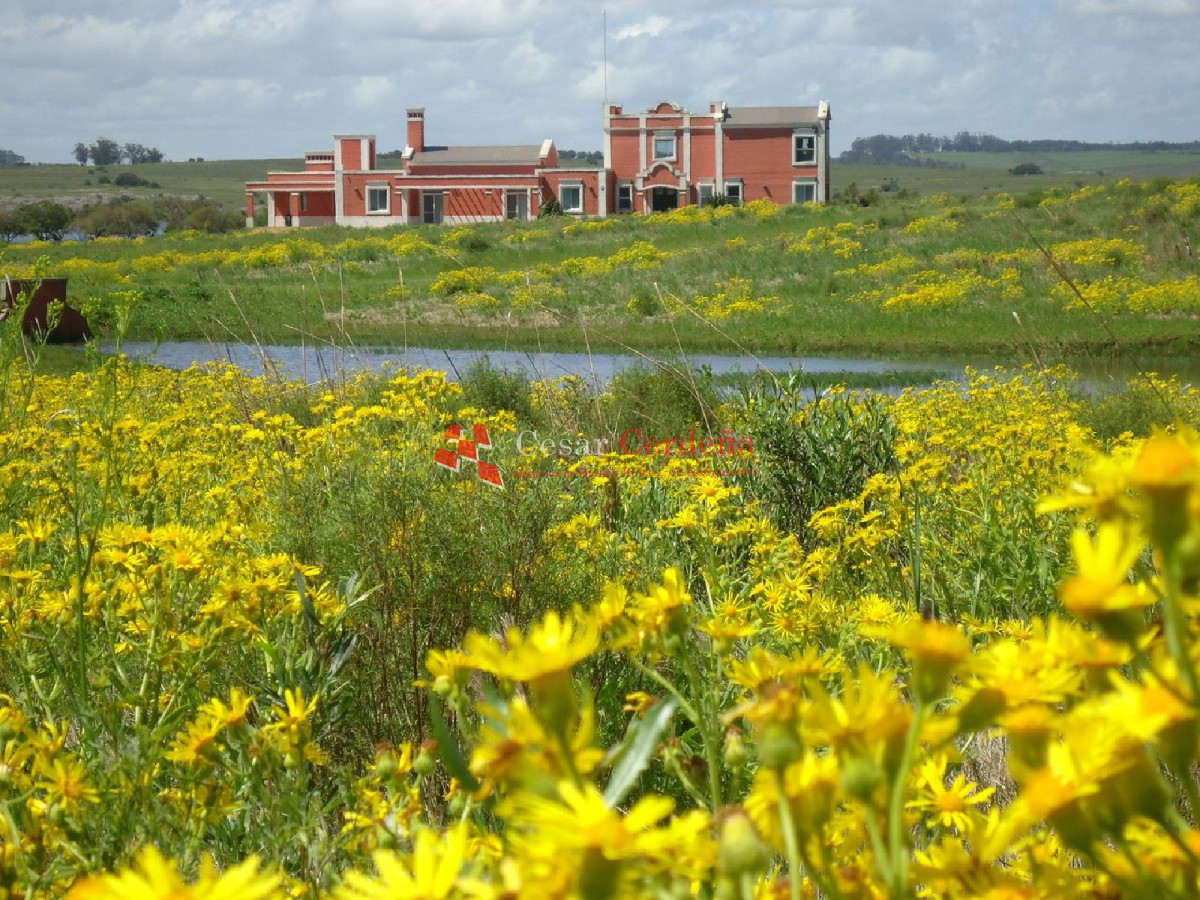 Chacra ID.1217 - VENTA - EXCEPCIONAL CHACRA EN VENTA EN LAGUNA DEL SAUCE