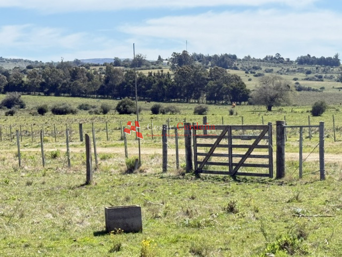 VENTA - 5 Hectáreas - Chacra en Pueblo Eden  - CCB2017H