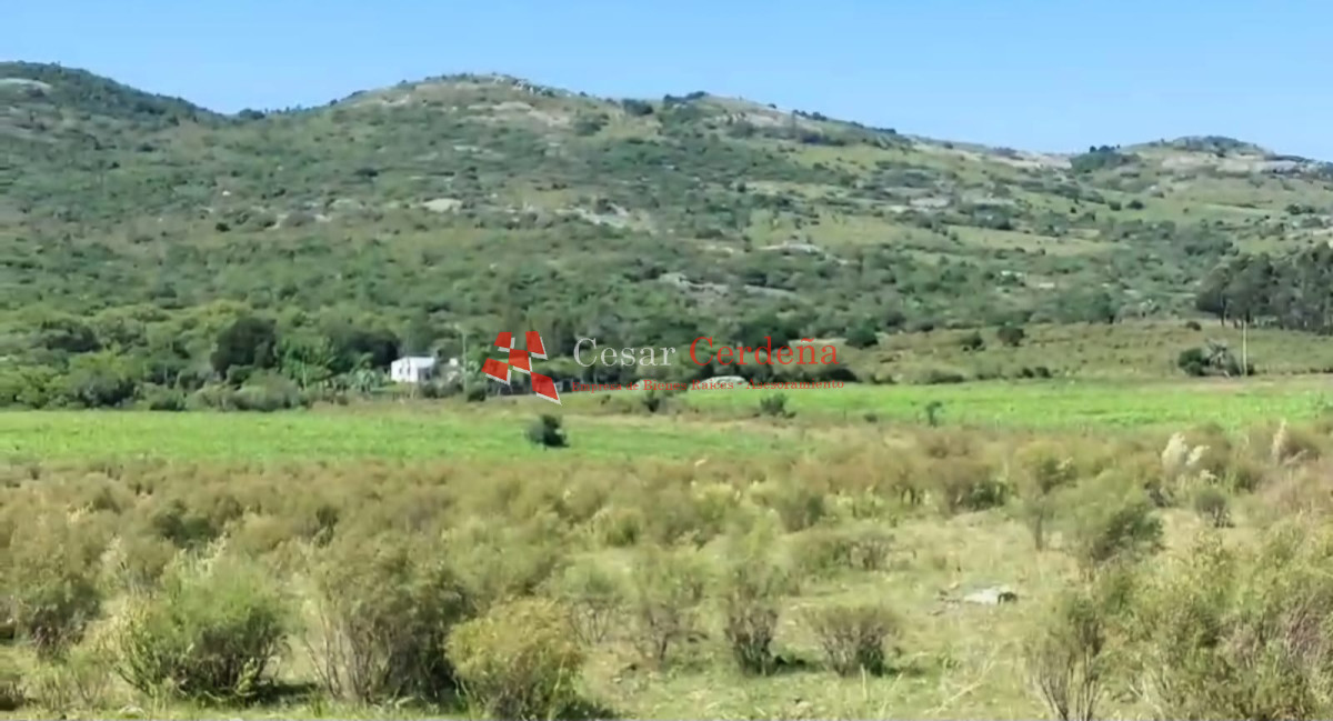 VENTA - 5 Hectareas Los Caracoles - CCB1928H