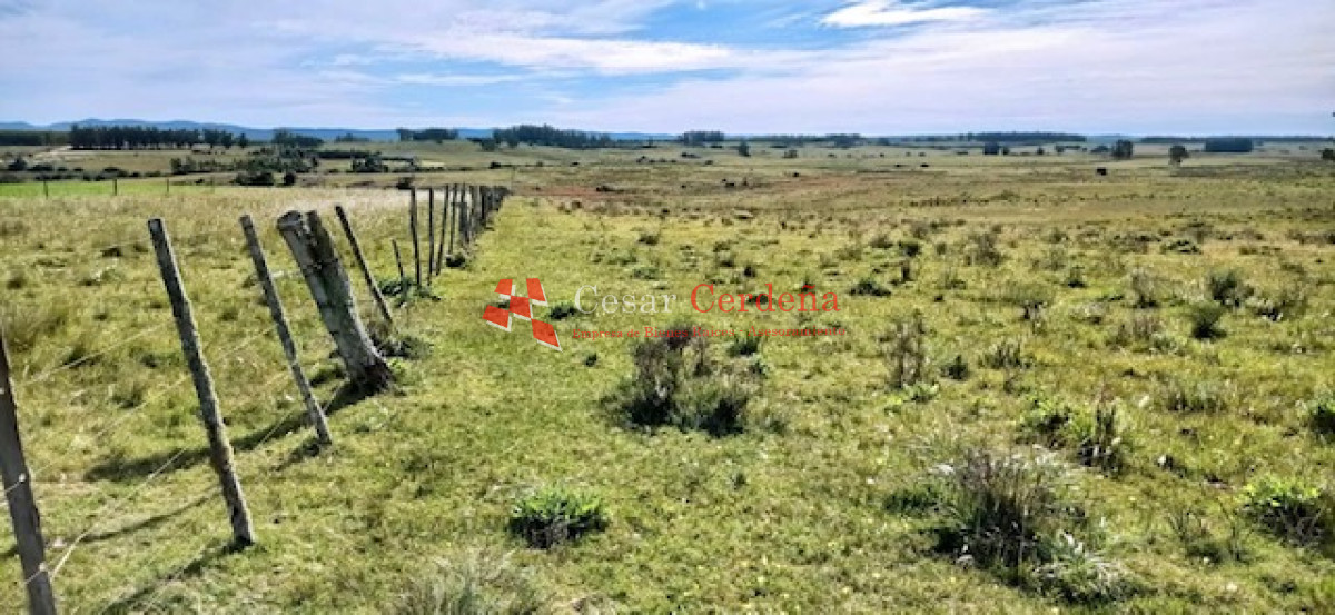 VENTA - Chacra en zona de Bodegas Garzón - CCB1578H