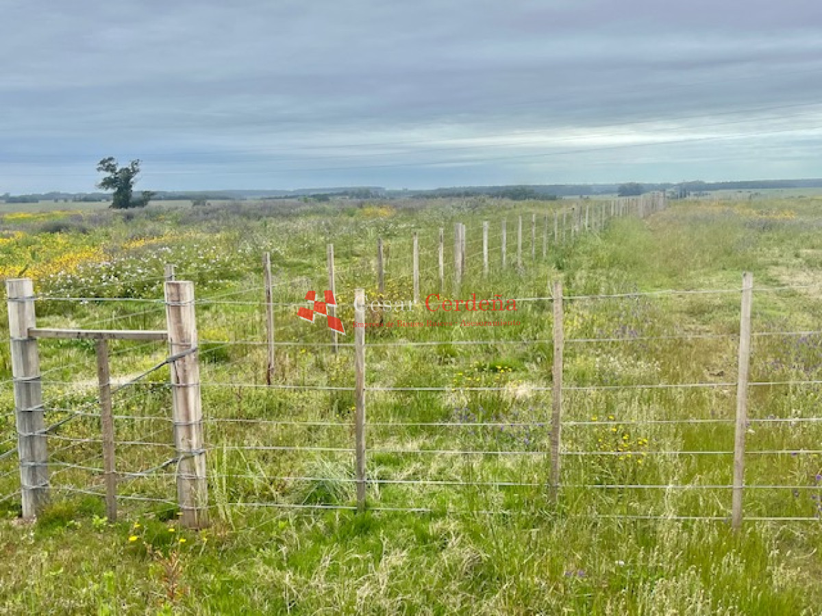 Chacra ID.1839 - VENTA - Chacras en Jose Ignacio rural, complejo Los Zainos, ruta 9