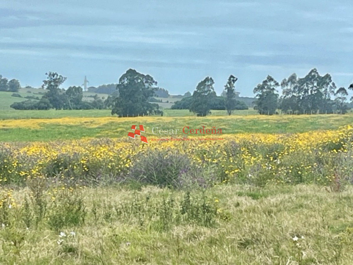 Chacra ID.1839 - VENTA - Chacras en Jose Ignacio rural, complejo Los Zainos, ruta 9
