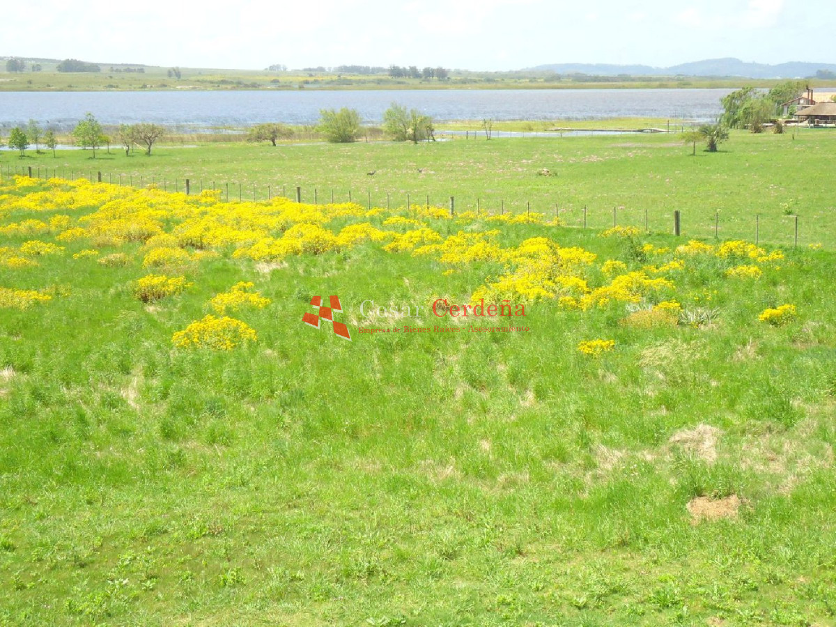 Chacra ID.1217 - VENTA - EXCEPCIONAL CHACRA EN VENTA EN LAGUNA DEL SAUCE