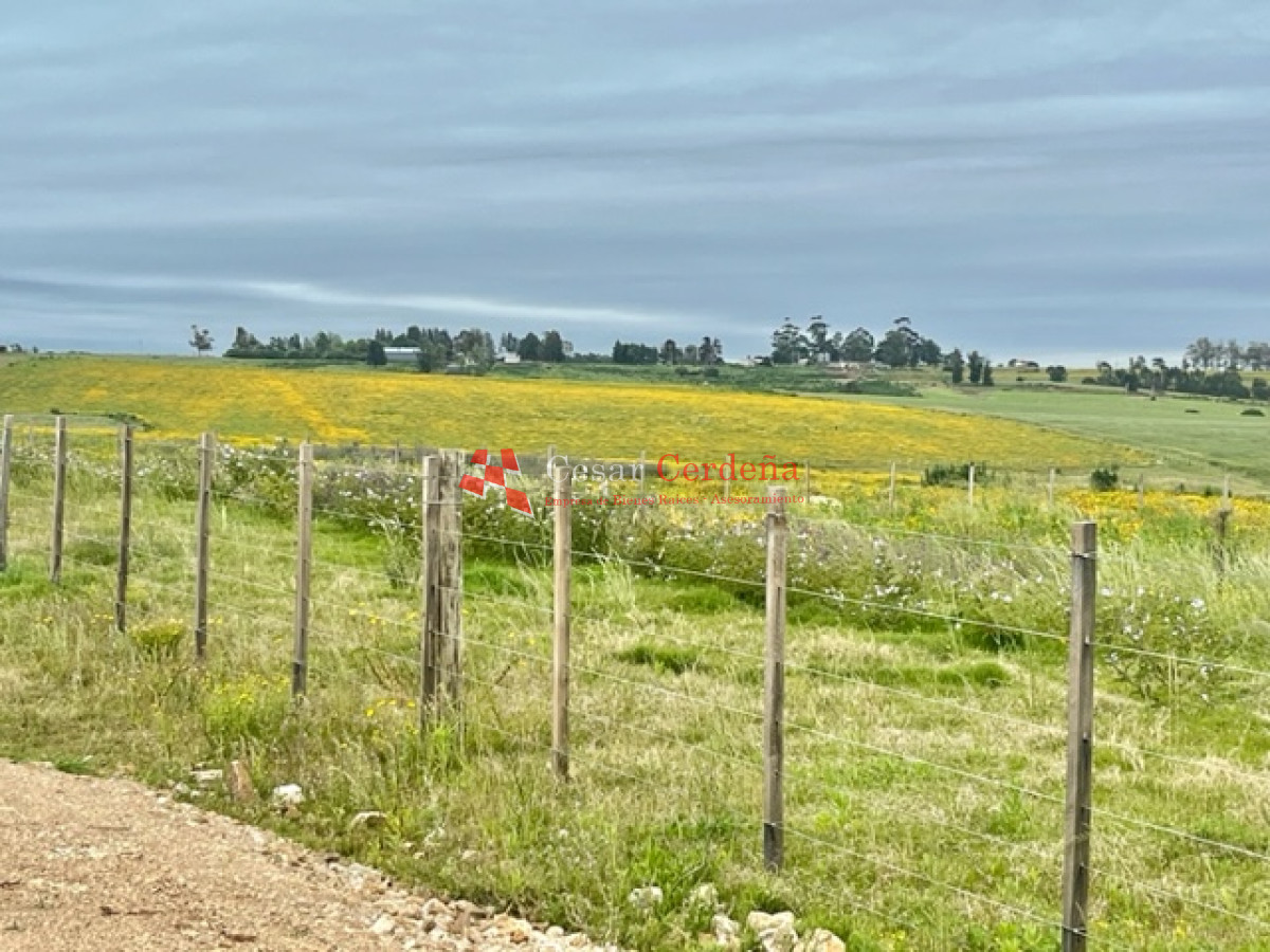 Chacra ID.1839 - VENTA - Chacras en Jose Ignacio rural, complejo Los Zainos, ruta 9
