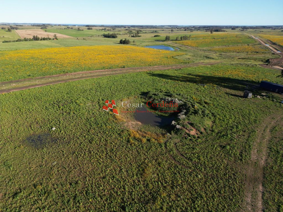 Chacra ID.1839 - VENTA - Chacras en Jose Ignacio rural, complejo Los Zainos, ruta 9