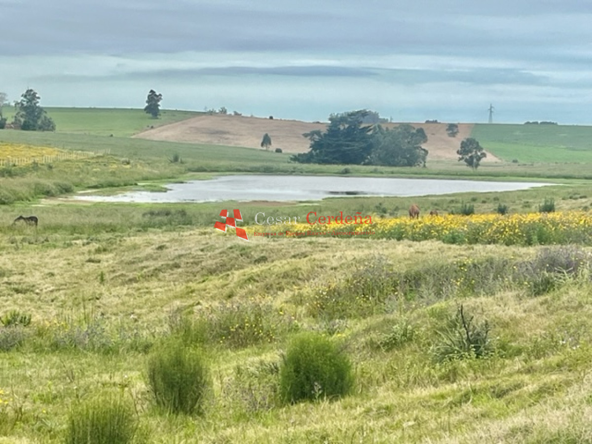 Chacra ID.1839 - VENTA - Chacras en Jose Ignacio rural, complejo Los Zainos, ruta 9