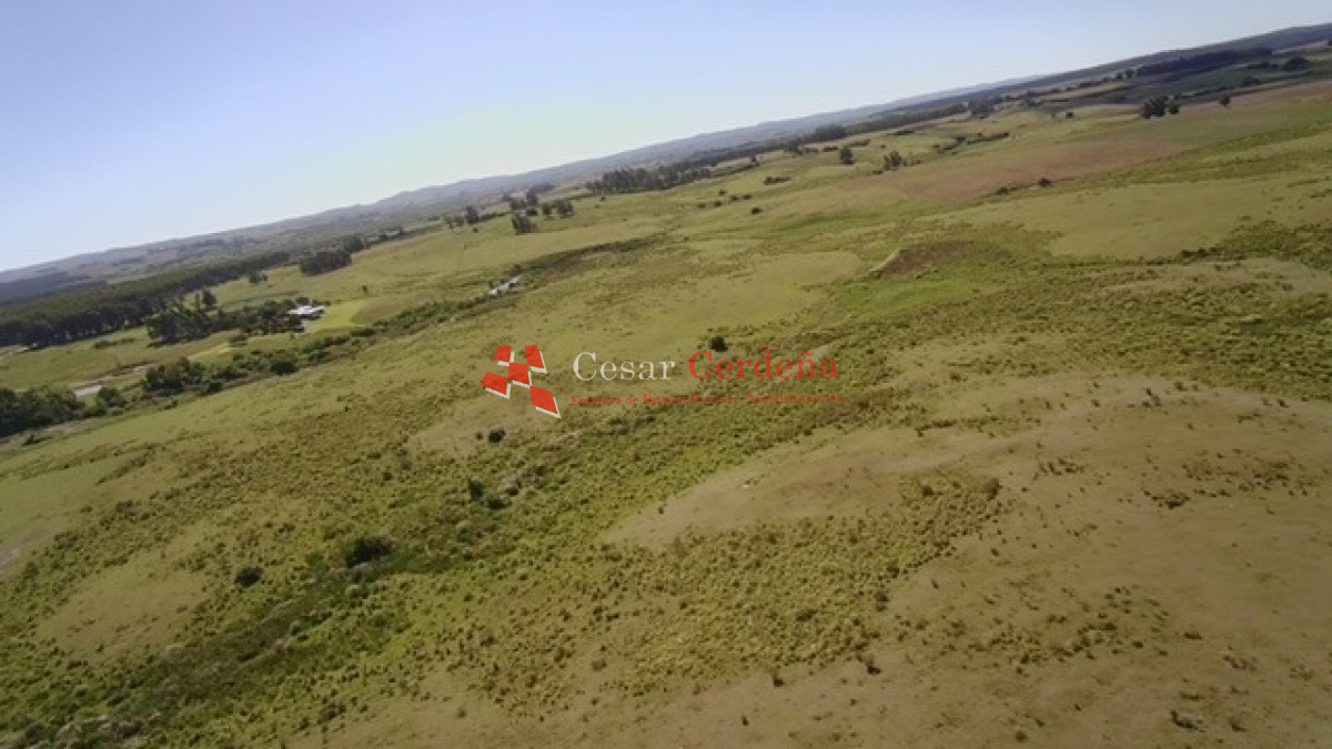 Chacra ID.1578 - VENTA - Chacra en zona de Bodegas Garzón