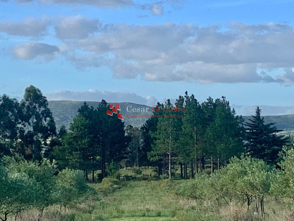 Chacra ID.1566 - VENTA - 5 Hectáreas - Chacra en Pueblo Eden 