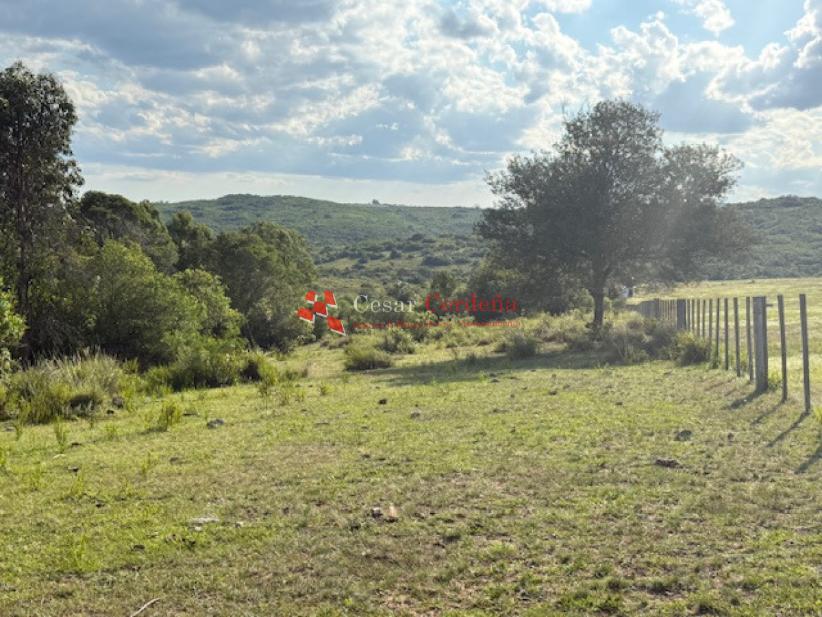 Chacra ID.1584 - VENTA - 39 Hectareas en Sierra de las Cañas