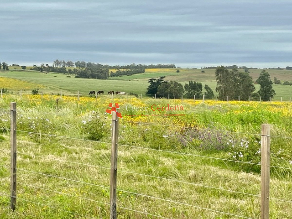 Chacra ID.1839 - VENTA - Chacras en Jose Ignacio rural, complejo Los Zainos, ruta 9