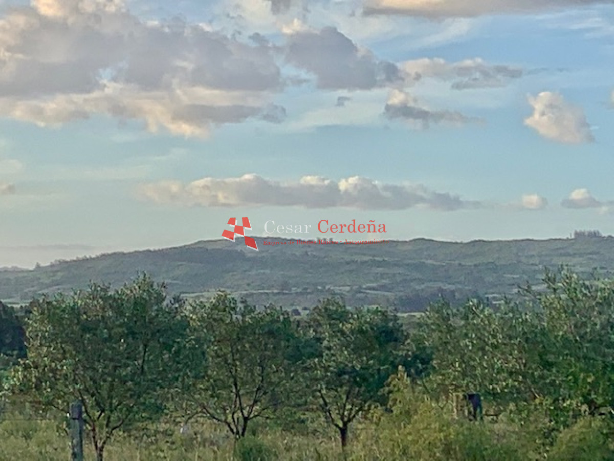 Chacra ID.1566 - VENTA - 5 Hectáreas - Chacra en Pueblo Eden 