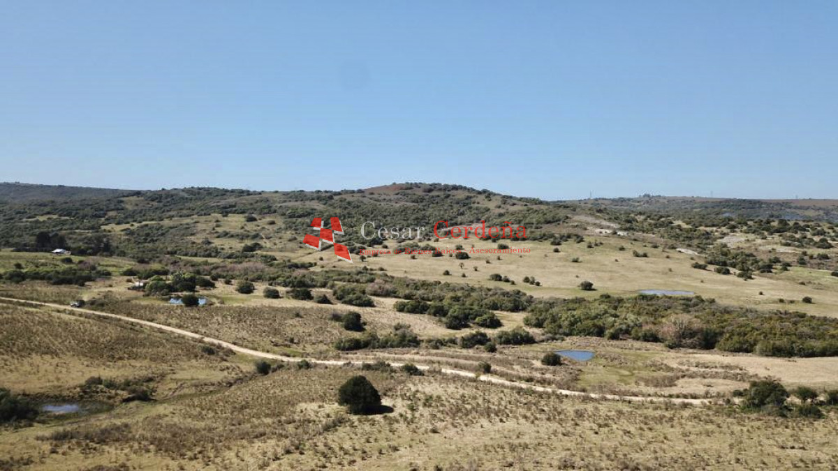 Chacra ID.1760 - VENTA - Chacras en Sierra de Los Caracoles