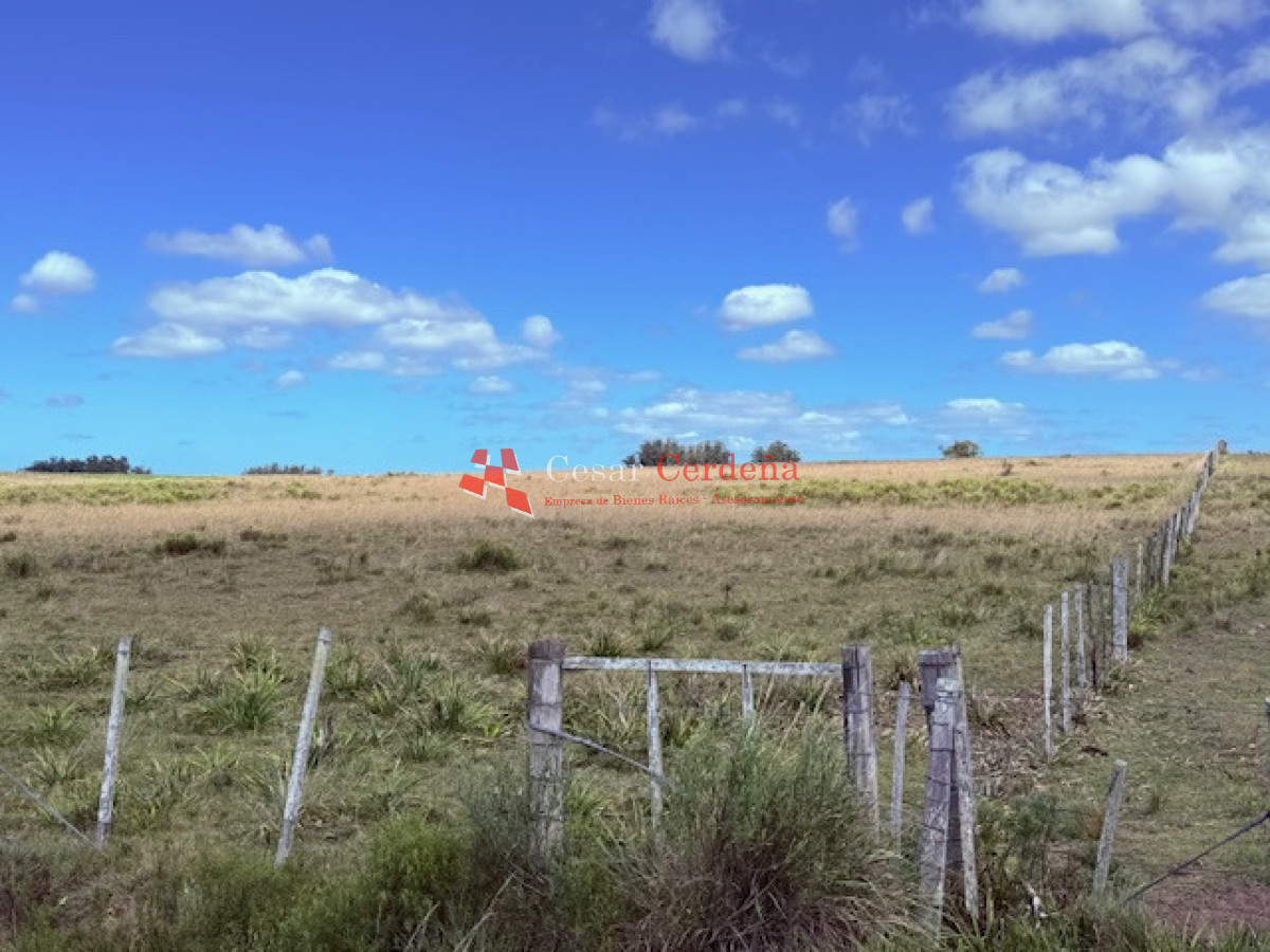 Chacra ID.1972 - VENTA - Chacra 21 hectáreas Jose Ignacio