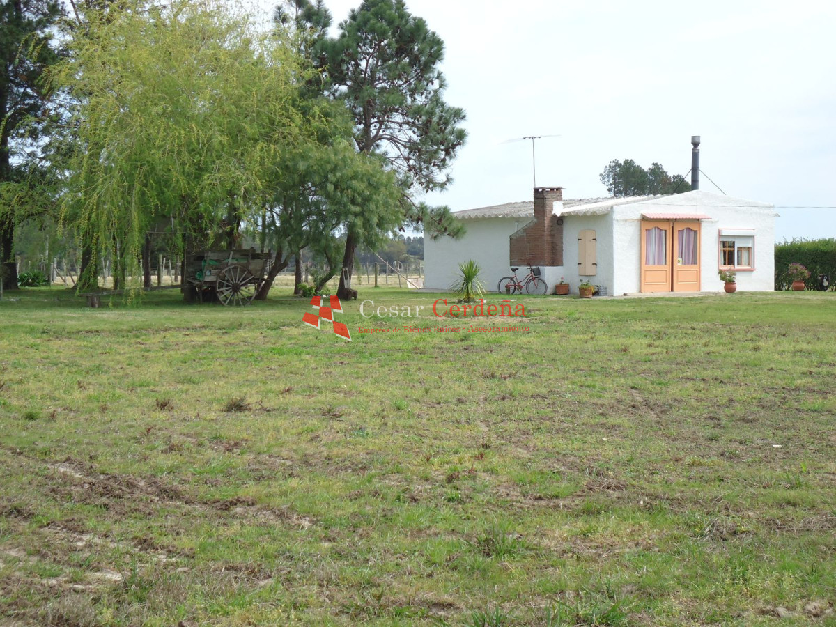 Chacra ID.1223 - CHACRA EN VENTA - CHACRA ON SALE
