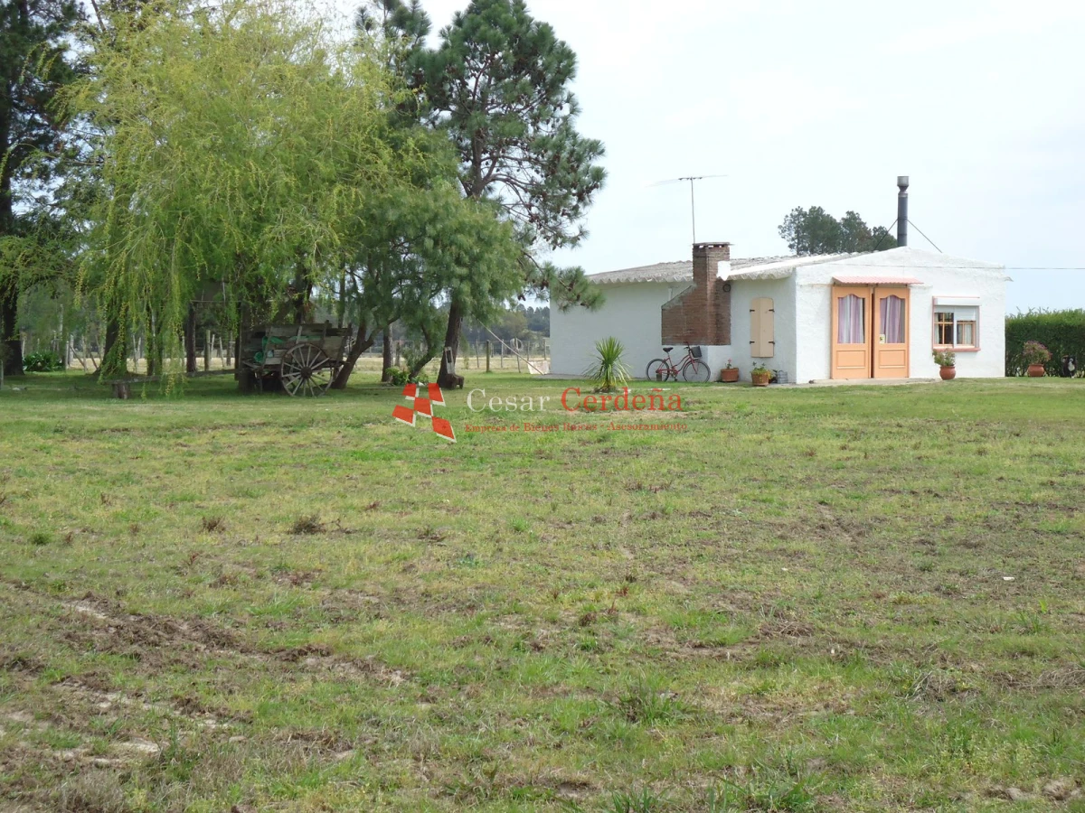 Chacra ID.1223 - VENTA - Chacra en La Pataia 8 hectareas