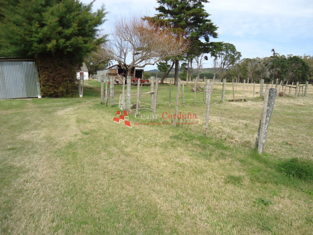Chacra ID.1223 - VENTA - Chacra en La Pataia 8 hectareas