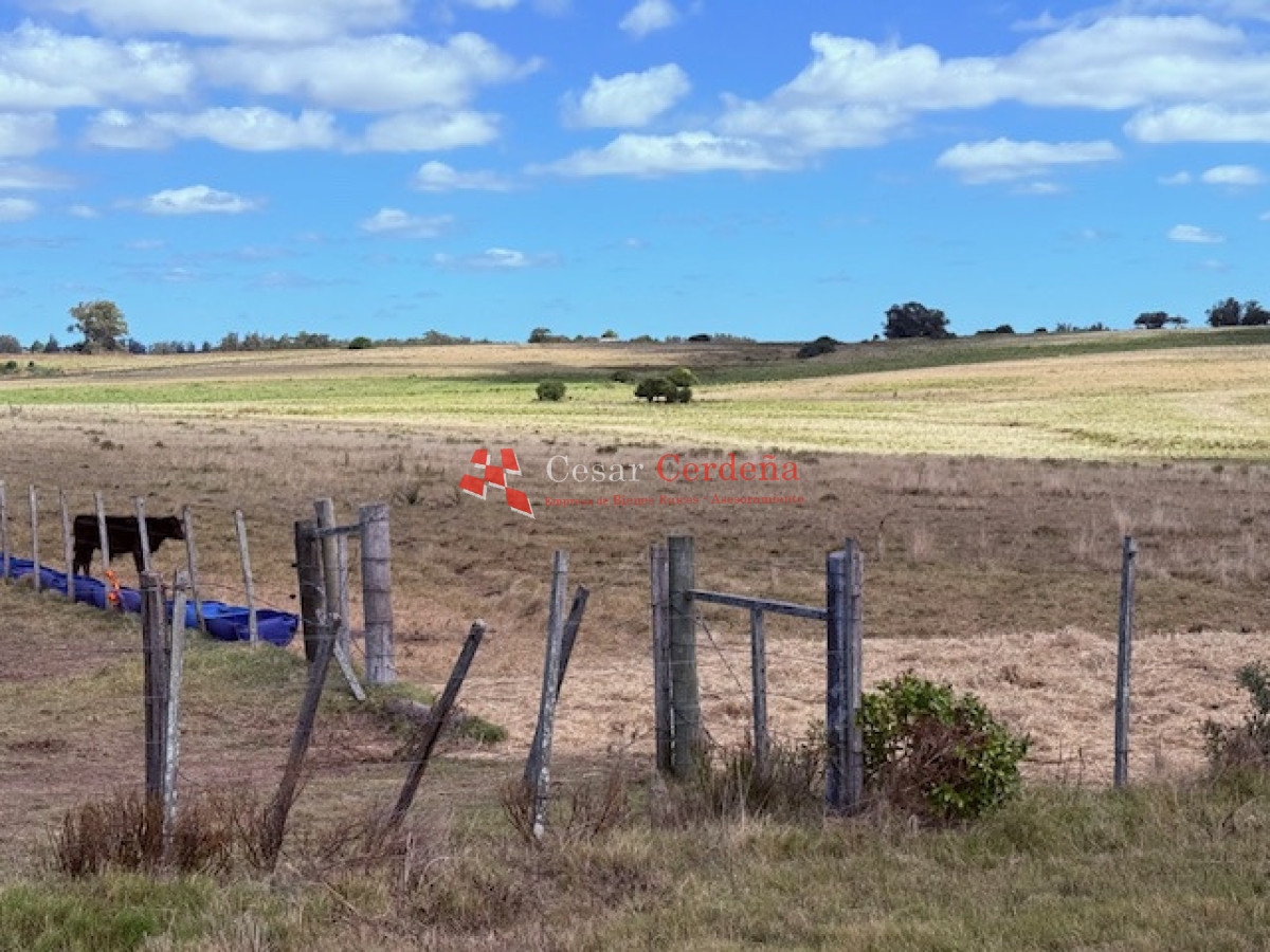 Chacra ID.1972 - VENTA - Chacra 21 hectáreas Jose Ignacio