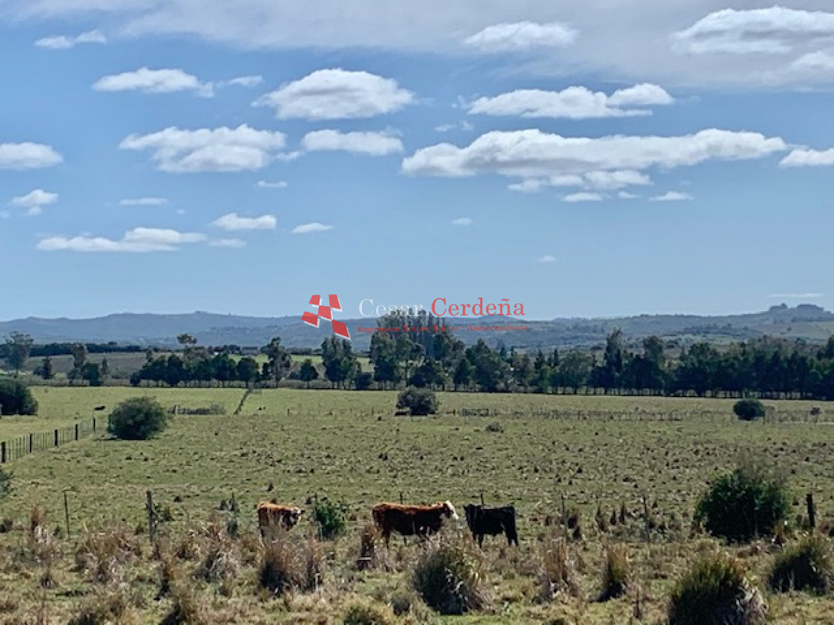 Chacra ID.1506 - VENTA - Chacra en Pueblo Eden