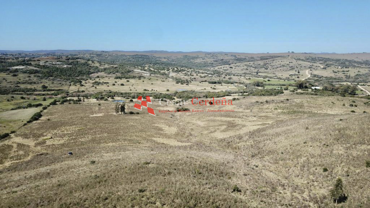 Chacra ID.1774 - VENTA - Campito de 86 hectáreas en las Sierras