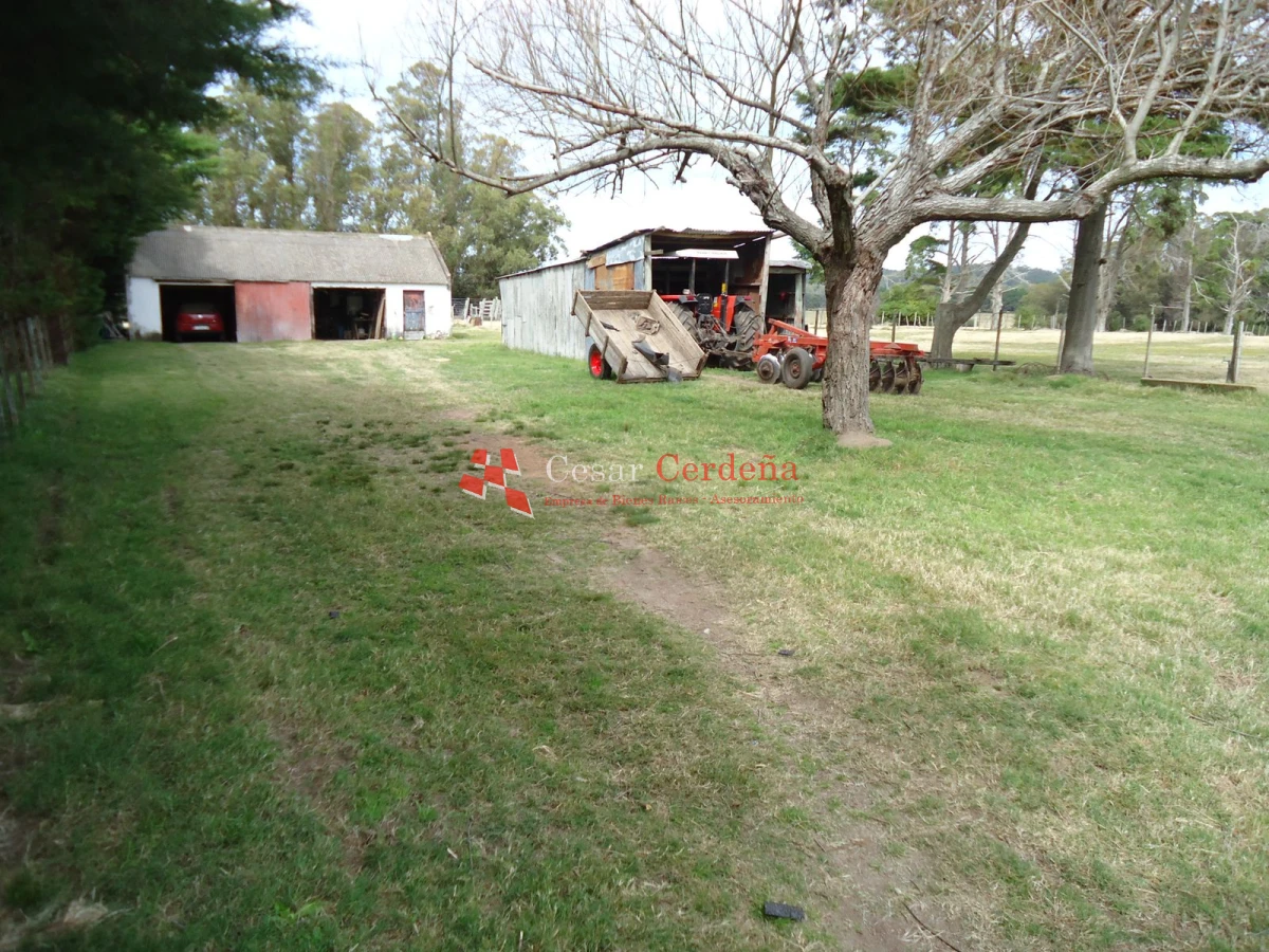 Chacra ID.1223 - VENTA - Chacra en La Pataia 8 hectareas