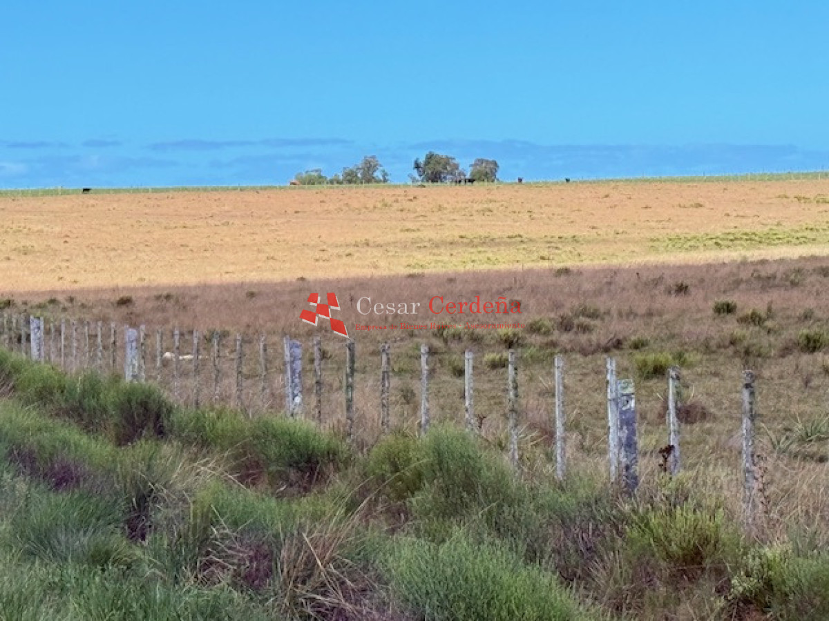 Chacra ID.1972 - VENTA - Chacra 21 hectáreas Jose Ignacio