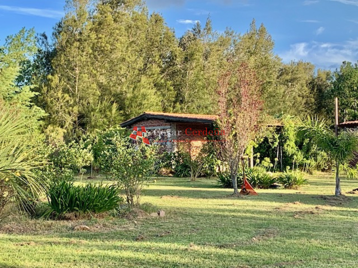 Chacra ID.1566 - VENTA - 5 Hectáreas - Chacra en Pueblo Eden 