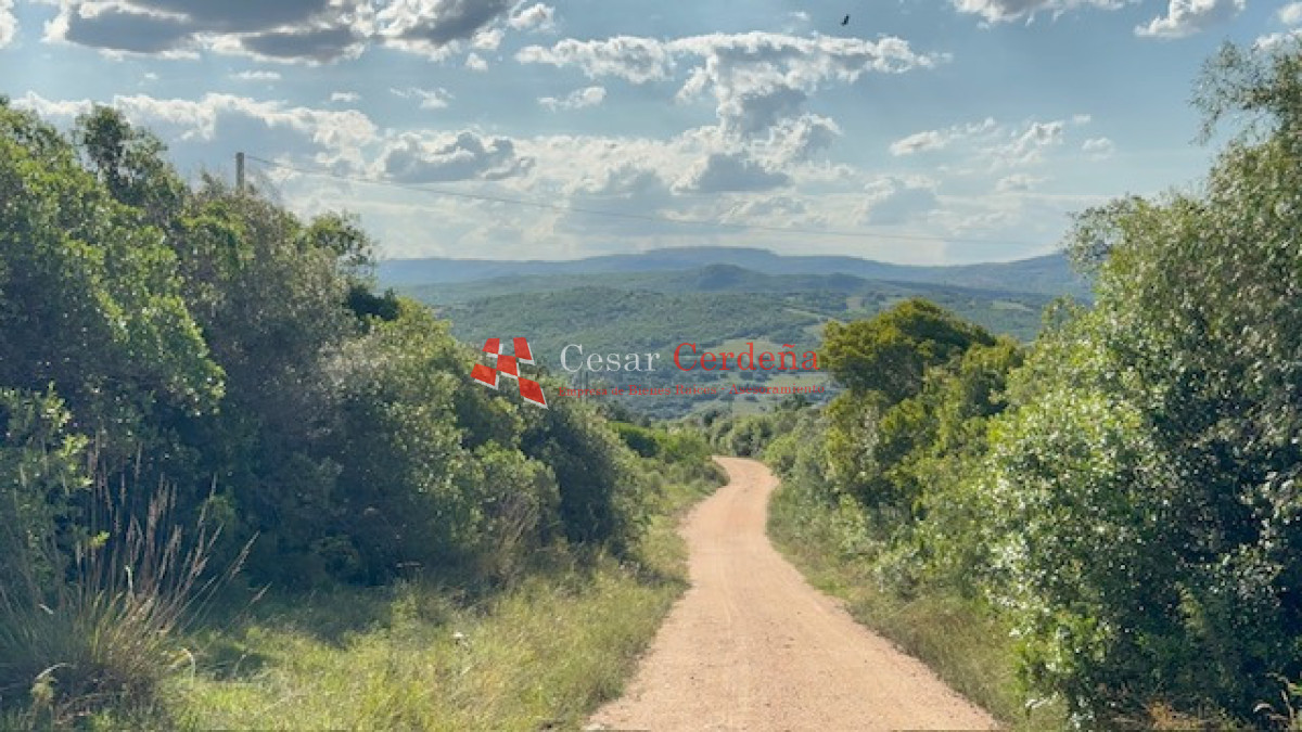 Chacra ID.1584 - VENTA - 39 Hectareas en Sierra de las Cañas