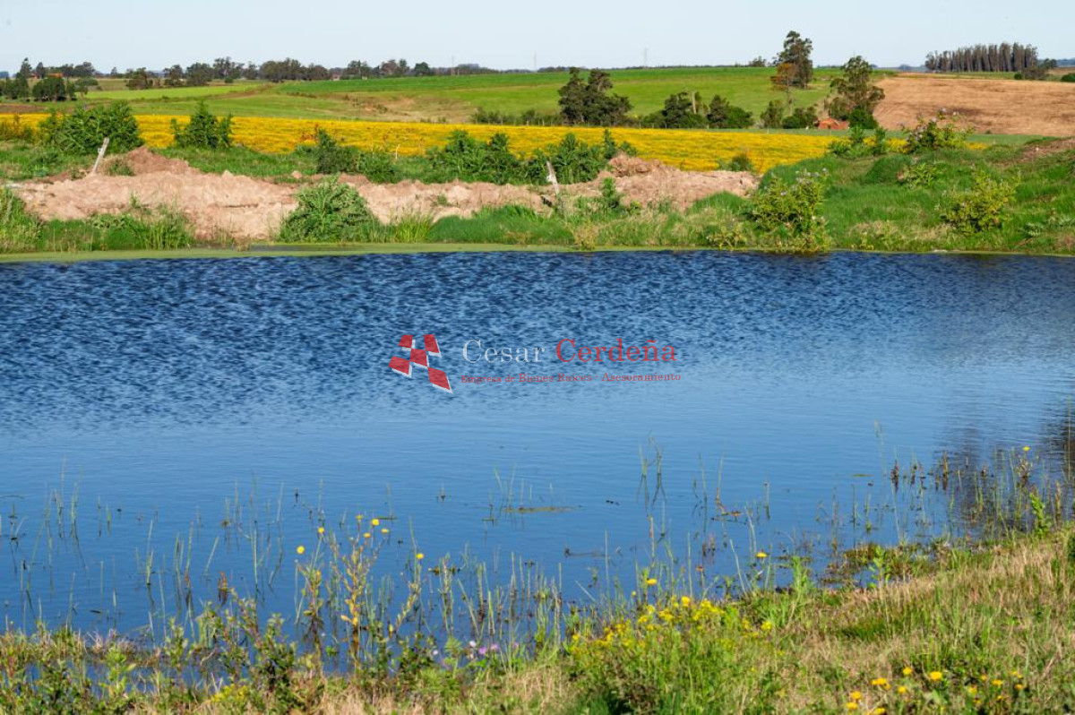Chacra ID.2002 - VENTA - Chacra y casa de campo a estrenar Los Zainos