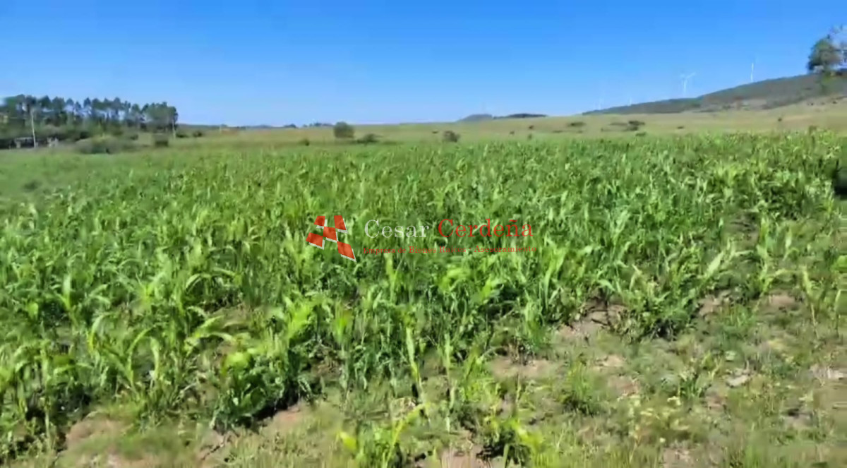 Chacra ID.1928 - VENTA - 5 Hectareas Los Caracoles