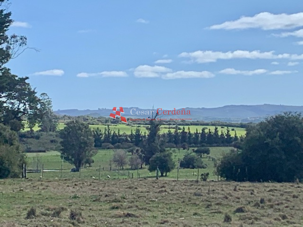 Chacra ID.1506 - VENTA - Chacra en Pueblo Eden