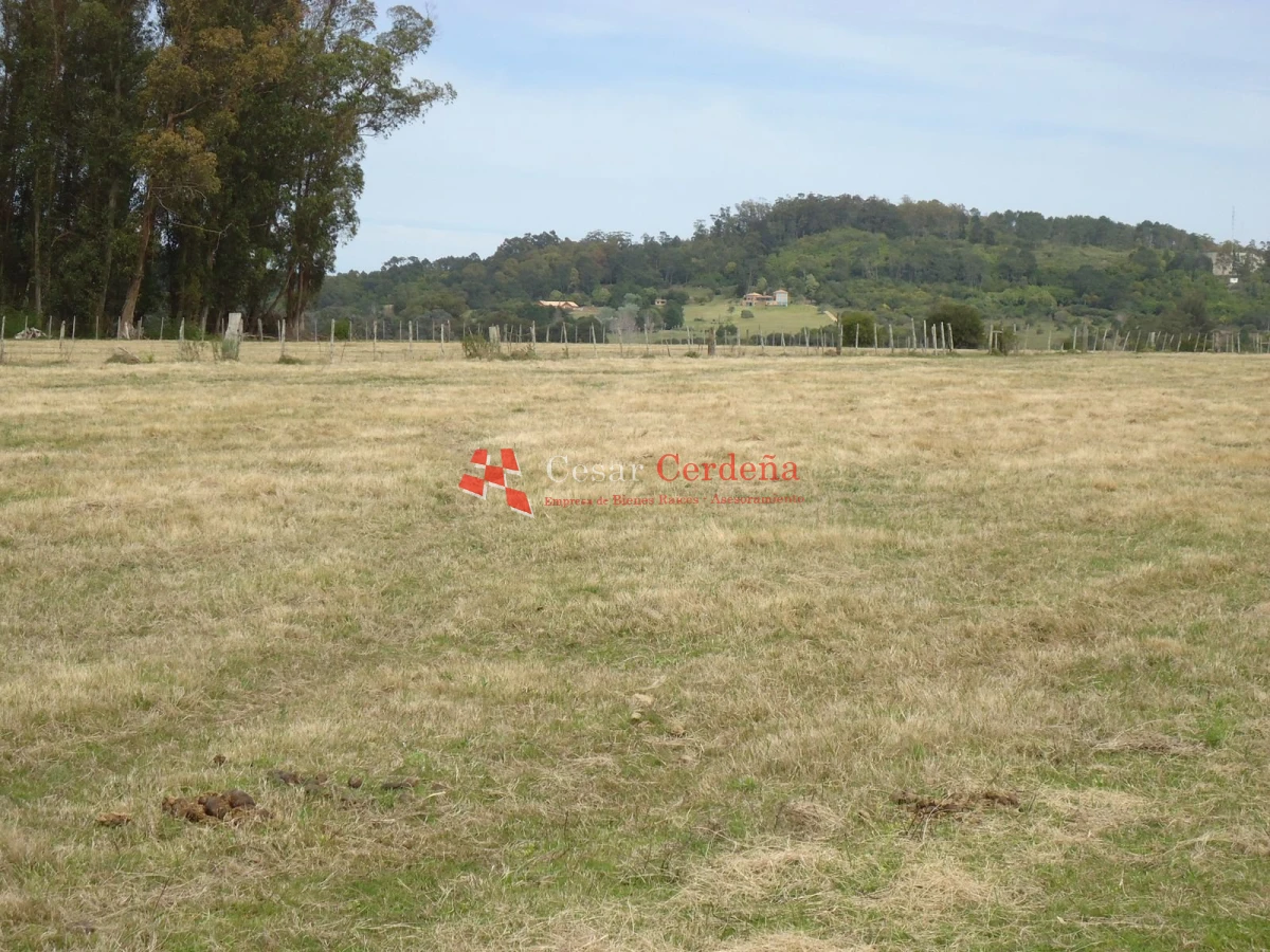 Chacra ID.1223 - VENTA - Chacra en La Pataia 8 hectareas