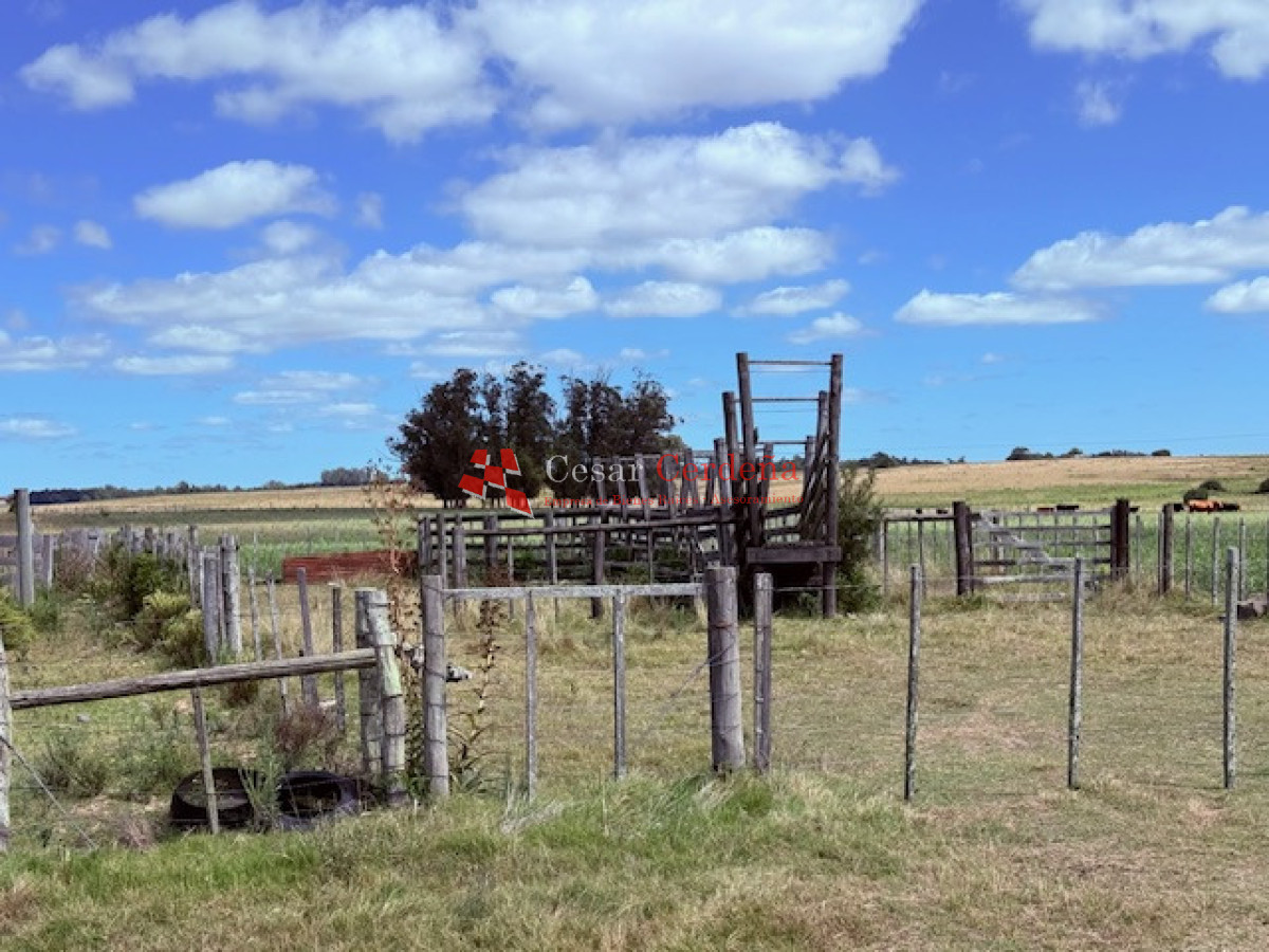 Chacra ID.1972 - VENTA - Chacra 21 hectáreas Jose Ignacio