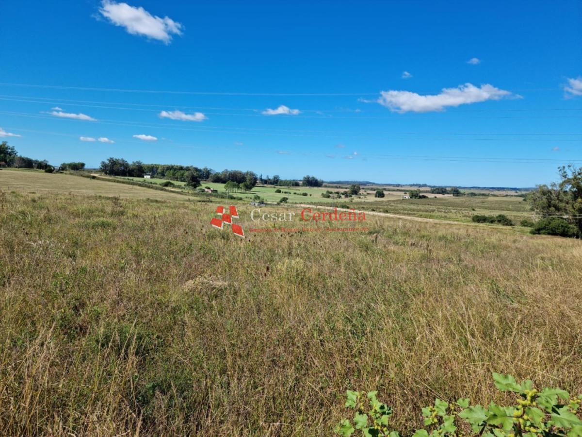 Chacra ID.1967 - VENTA - 10 Hectáreas Los Ceibos - Maldonado