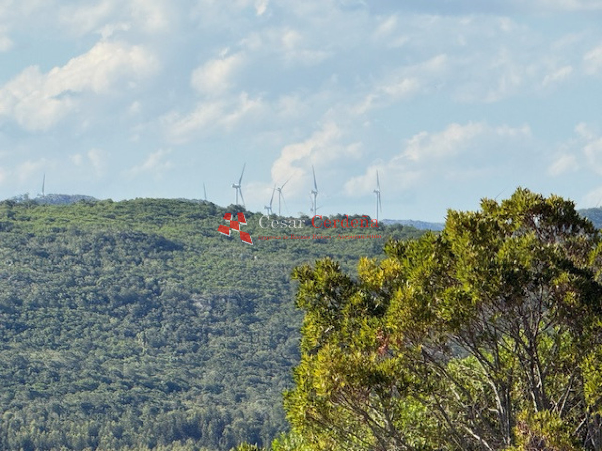 Chacra ID.1584 - VENTA - 39 Hectareas en Sierra de las Cañas