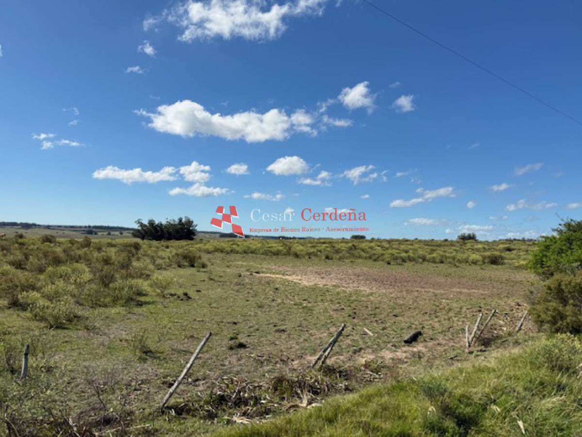 Chacra ID.1578 - VENTA - Chacra en zona de Bodegas Garzón