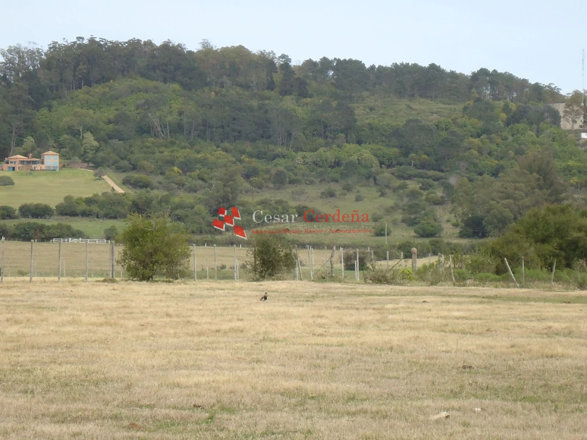 Chacra ID.1223 - VENTA - Chacra en La Pataia 8 hectareas
