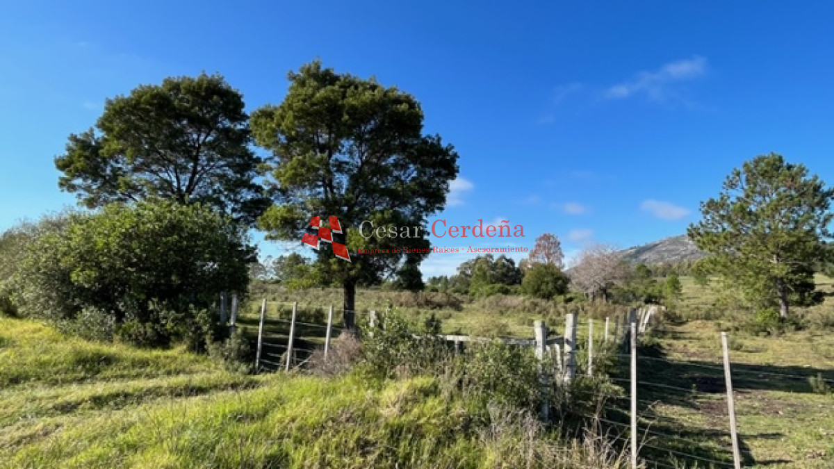 Chacra ID.1791 - VENTA -Chacra de 7 hectáreas en Cerro Pan de Azucar