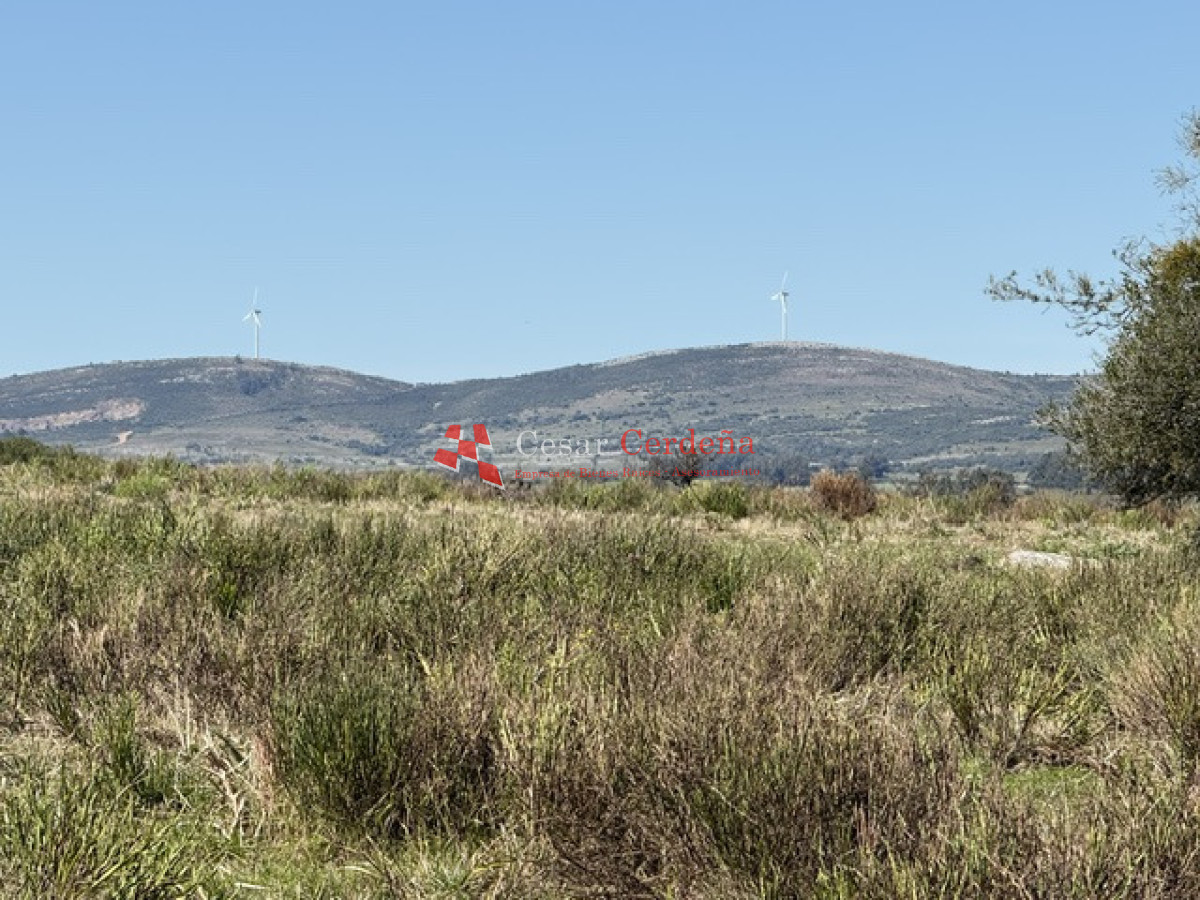 Chacra ID.2017 - VENTA - 5 Hectáreas - Chacra en Pueblo Eden 