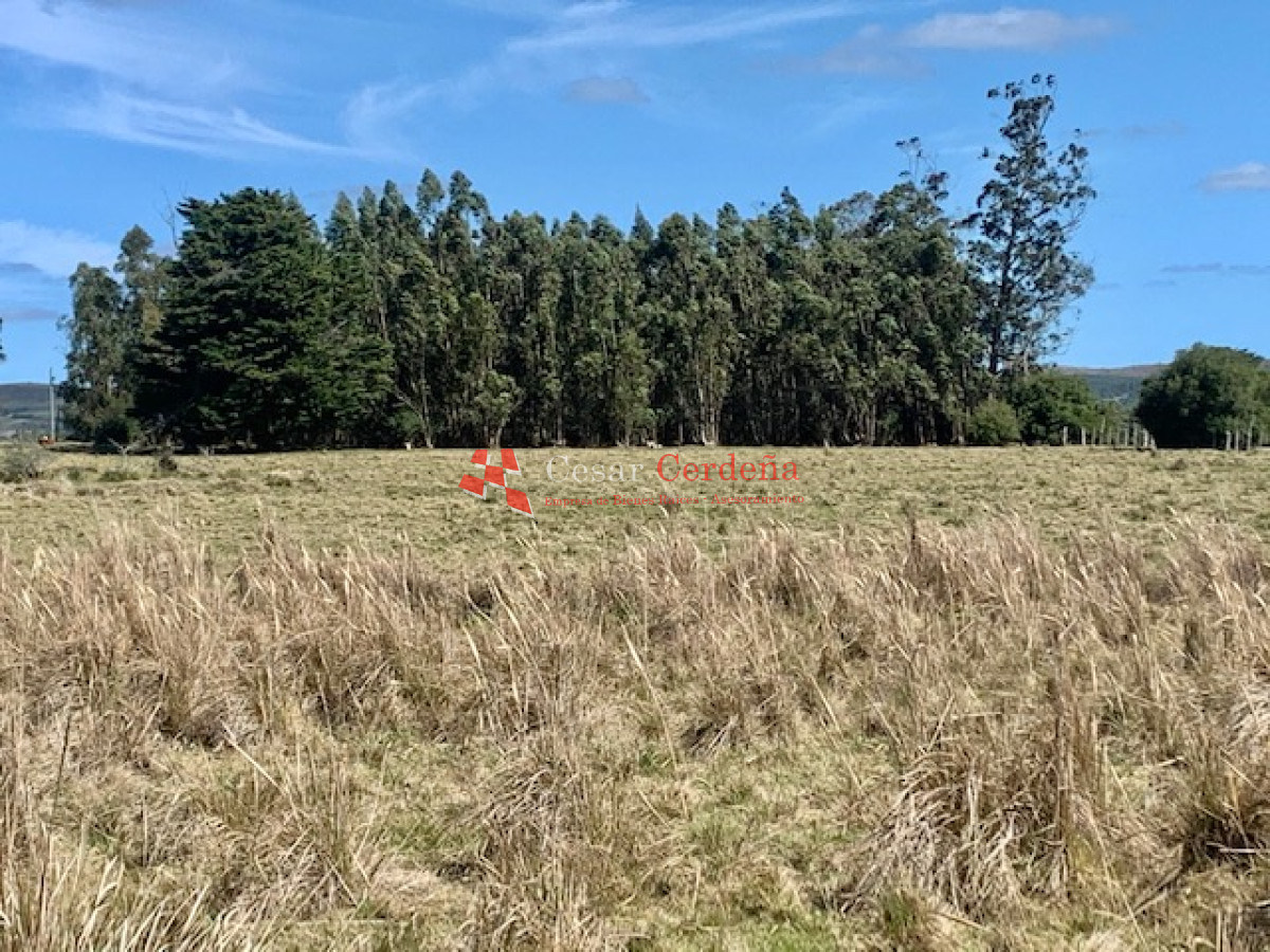 Chacra ID.1506 - VENTA - Chacra en Pueblo Eden