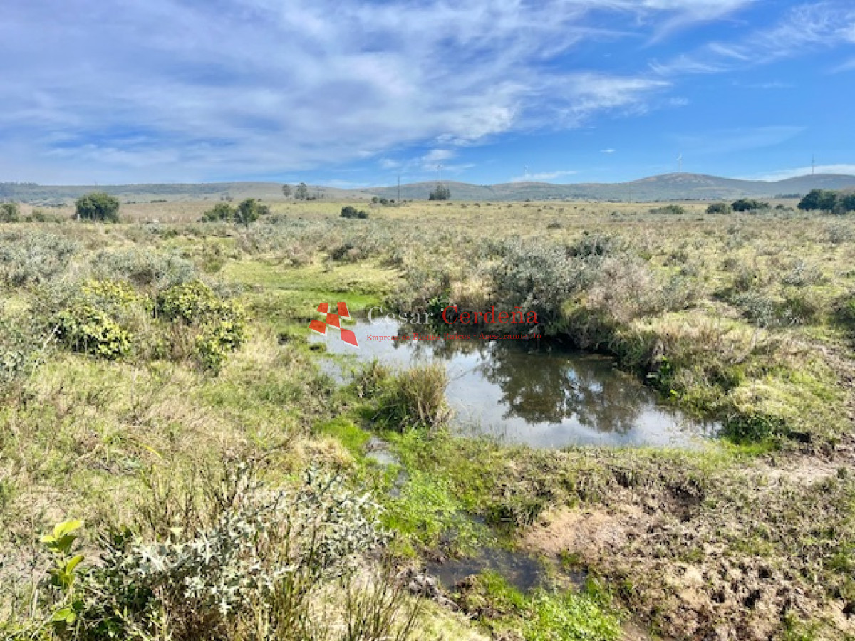 Chacra ID.1902 - VENTA - Chacra 7 Hectareas