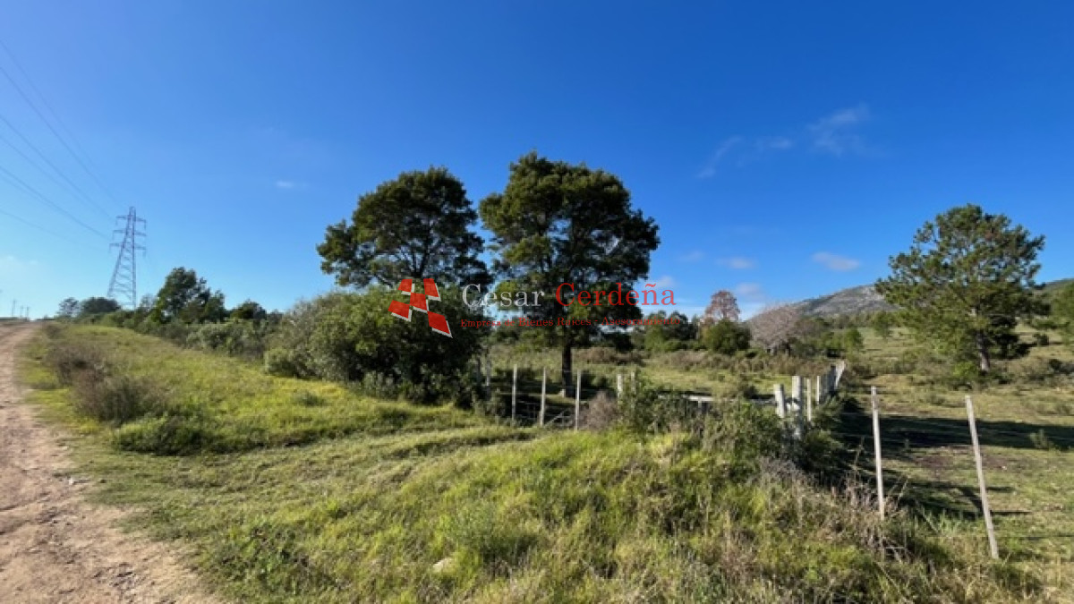 Chacra ID.1791 - VENTA -Chacra de 7 hectáreas en Cerro Pan de Azucar