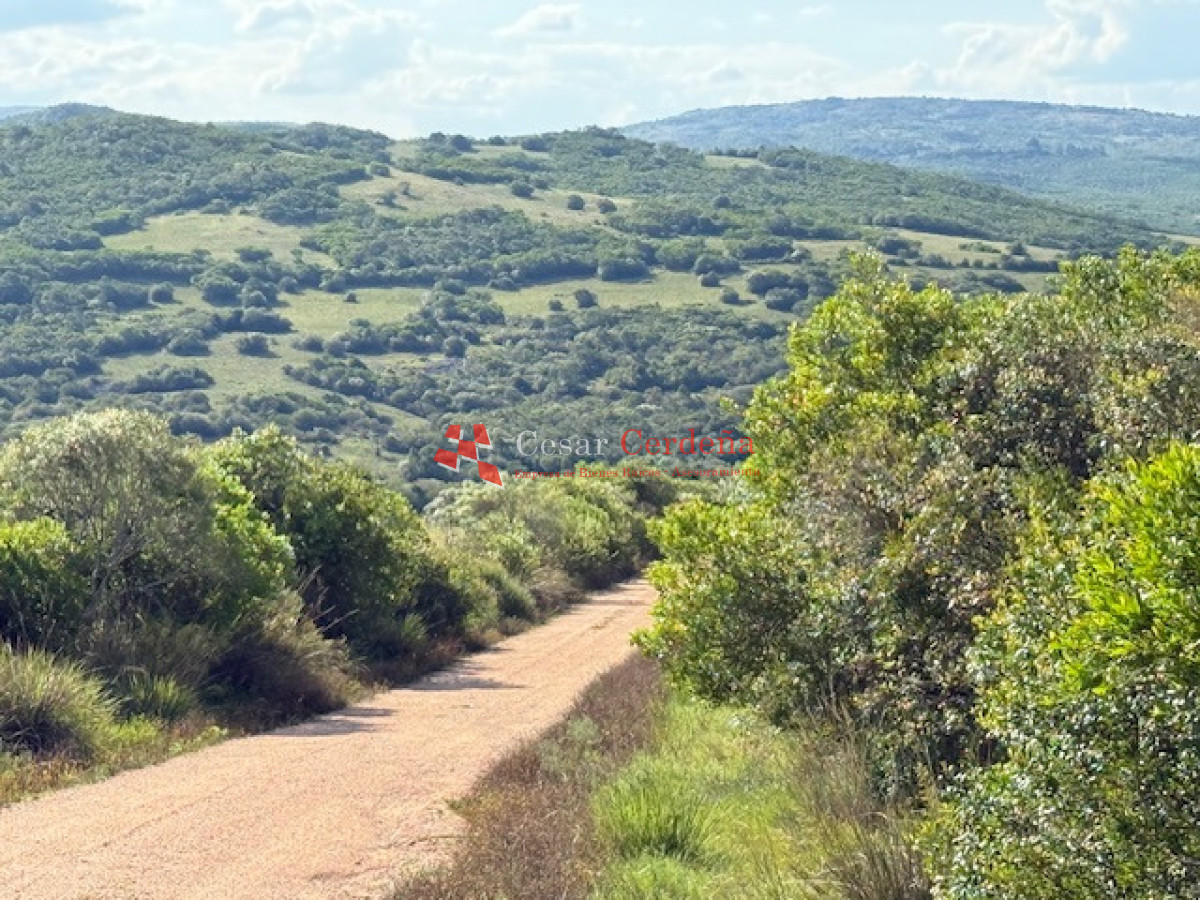 Chacra ID.1584 - VENTA - 39 Hectareas en Sierra de las Cañas