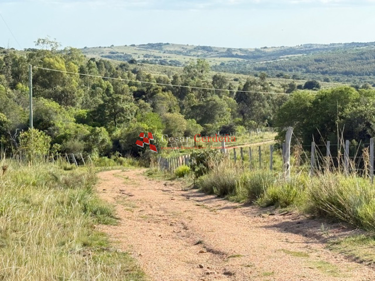 Chacra ID.1584 - VENTA - 39 Hectareas en Sierra de las Cañas