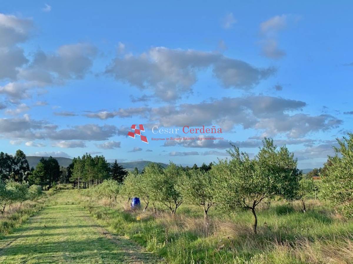 Chacra ID.1566 - VENTA - 5 Hectáreas - Chacra en Pueblo Eden 